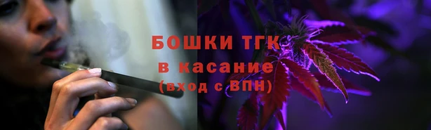ГАЛЛЮЦИНОГЕННЫЕ ГРИБЫ Богданович