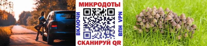 наркота  Белокуриха  Галлюциногенные грибы MAGIC MUSHROOMS 